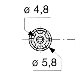 CO 343/2 P